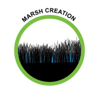 Marsh Creation Icon